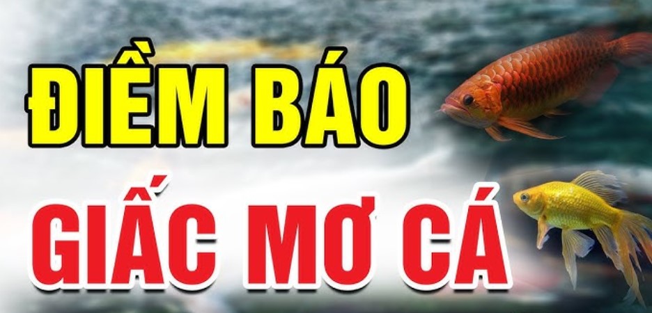 Điềm báo nằm mơ thấy cá La Hán