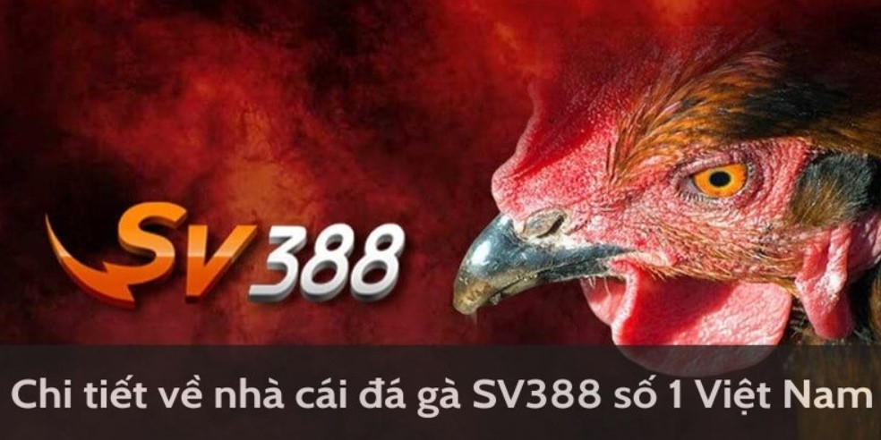 SV388 FB88 – Sân chơi đá gà trực tiếp số 1