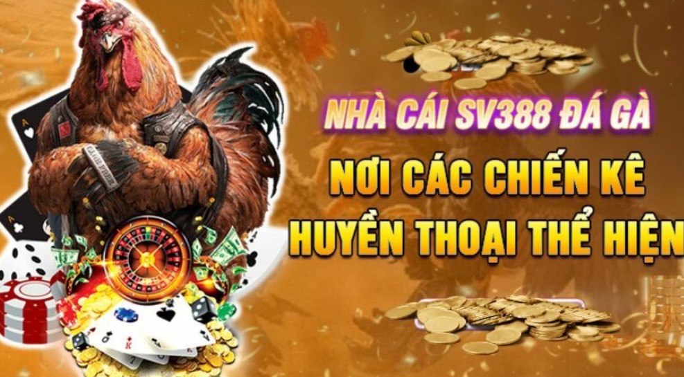 Dịch vụ khách hàng chu đáo 24/7 của đá gà SV388 FB88